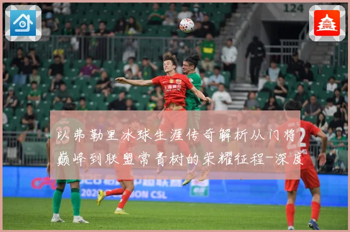 以弗勒里冰球生涯传奇解析从门将巅峰到联盟常青树的荣耀征程-深度解析