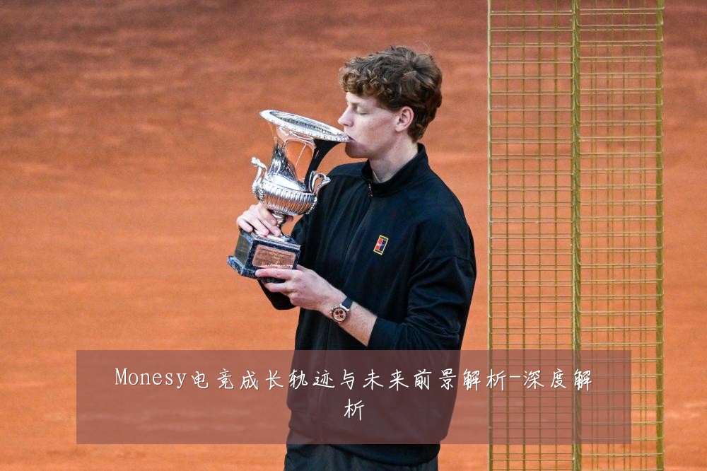 Monesy电竞成长轨迹与未来前景解析-深度解析
